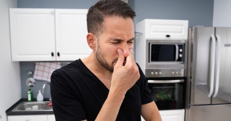 Mold remediation services in Ventura County