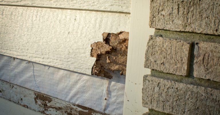 Hidden Dangers of Standing Water in Your Home services by Total Restoration in Ventura County