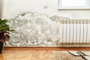 Disaster restoration services by Total Restoration in Ventura County