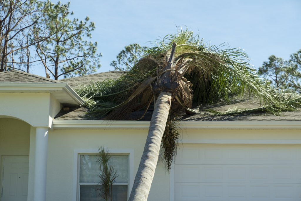 Windstorm Damage Repair services by Total Restoration in Ventura County