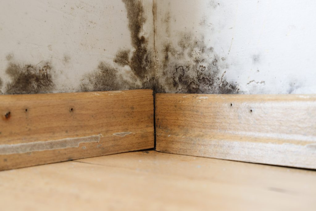 Disaster restoration services by Total Restoration in Ventura County