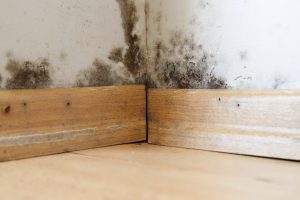 Disaster restoration services by Total Restoration in Ventura County