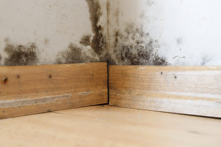 Disaster restoration services by Total Restoration in Ventura County