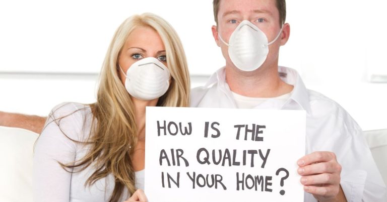 Professional mold removal in Ventura County