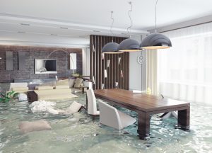 water damage services ventura