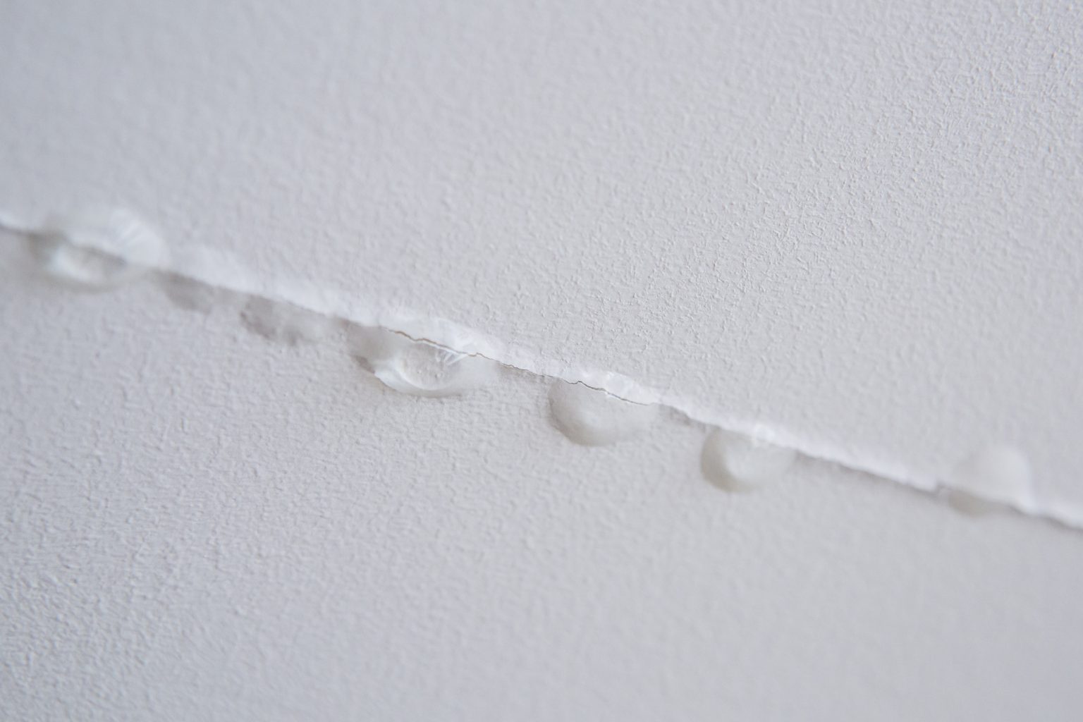 How to Identify Early Signs of Water Damage in Your Ventura Home