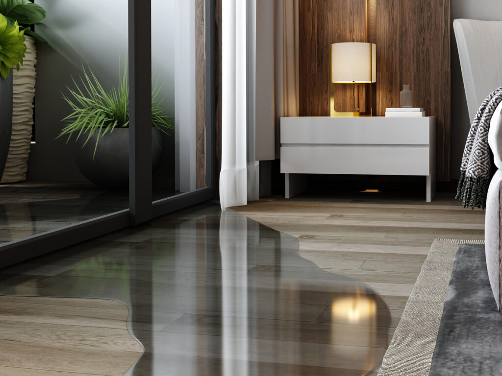 Water Damage Restoration Ojai