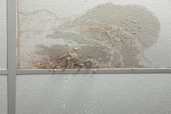 water damage restoration Simi Valley