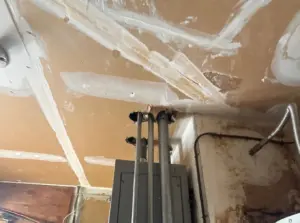 mold in a condo