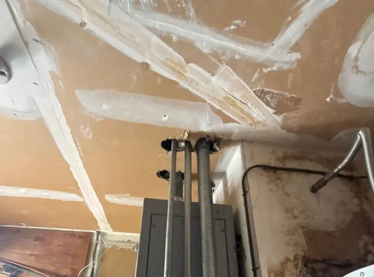 mold in a condo