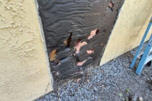 Torn building paper behind removed siding showing siding water damage