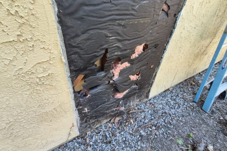 Torn building paper behind removed siding showing siding water damage