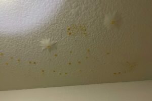 Water spots on a closet ceiling from a leak in the unit upstairs