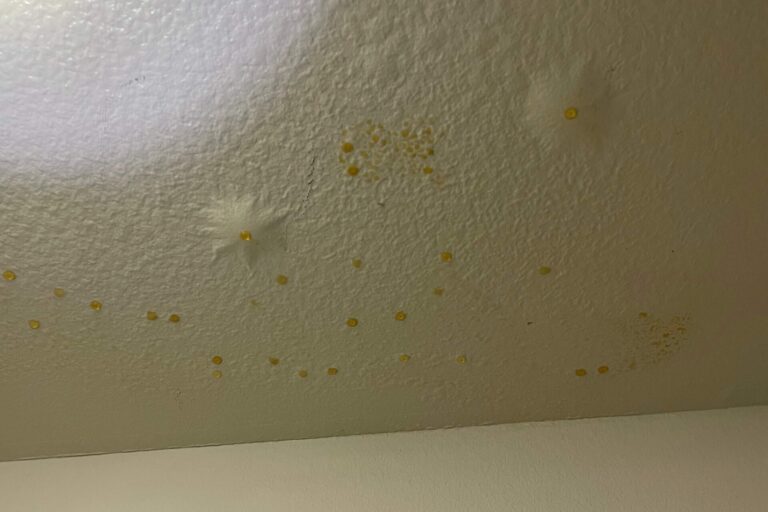 Water spots on a closet ceiling from a leak in the unit upstairs