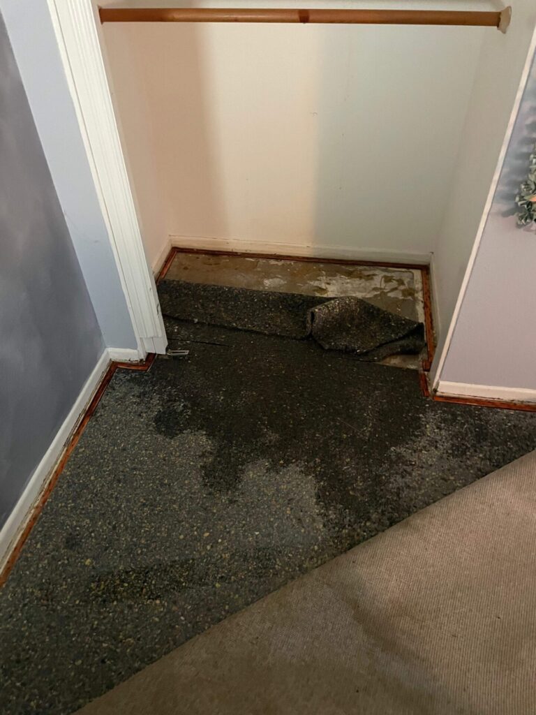 Wet carpet and pad pulled back in a closet under a ceiling leak