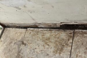Mold in a bathroom sink cabinet in Ventura