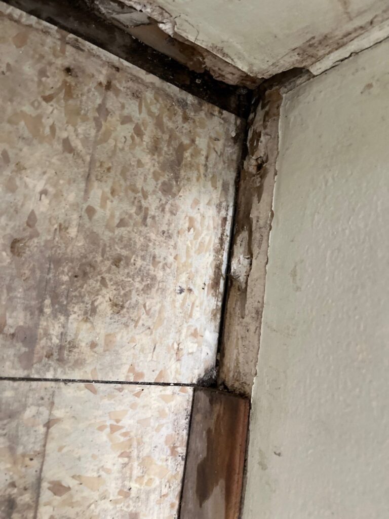 Mold spotting inside the cabinet under a bathroom sink in Ventura