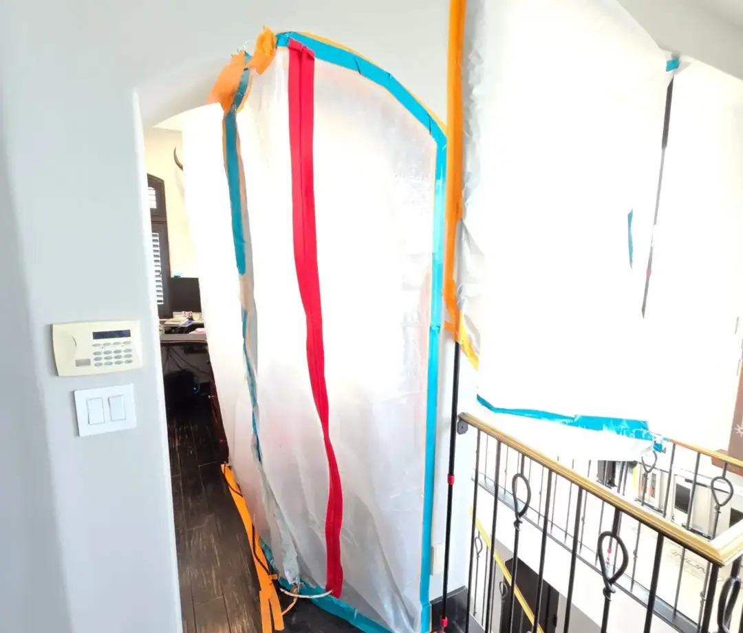 mold in apartment